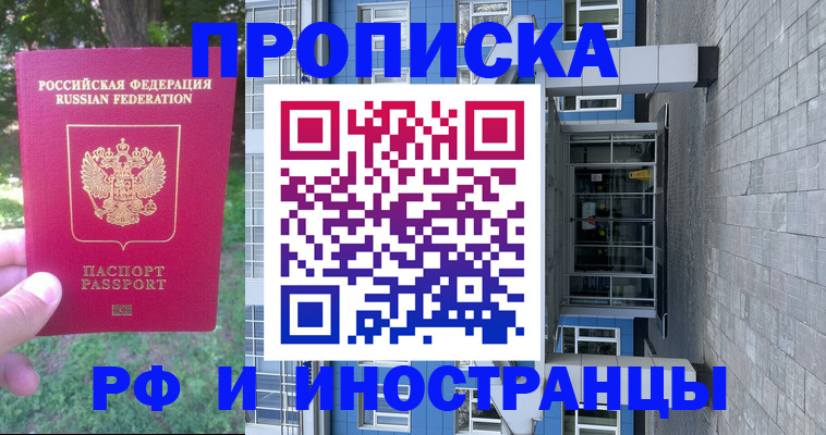 где прописаться в Звенигово